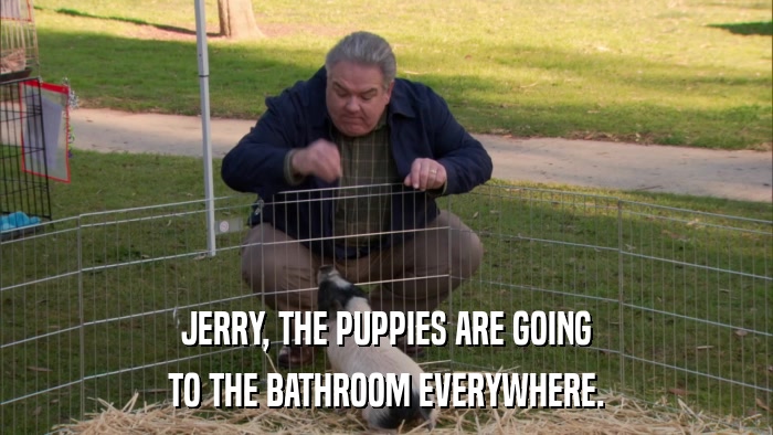 JERRY, THE PUPPIES ARE GOING TO THE BATHROOM EVERYWHERE. 