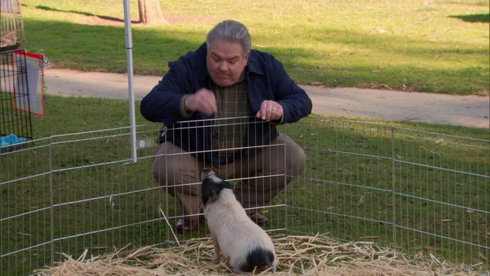 JERRY, THE PUPPIES ARE GOING TO THE BATHROOM EVERYWHERE. 