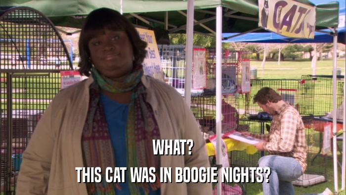WHAT? THIS CAT WAS IN BOOGIE NIGHTS? 