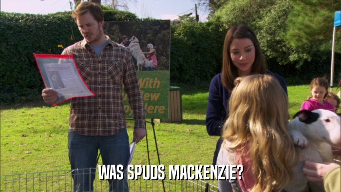 WAS SPUDS MACKENZIE?  