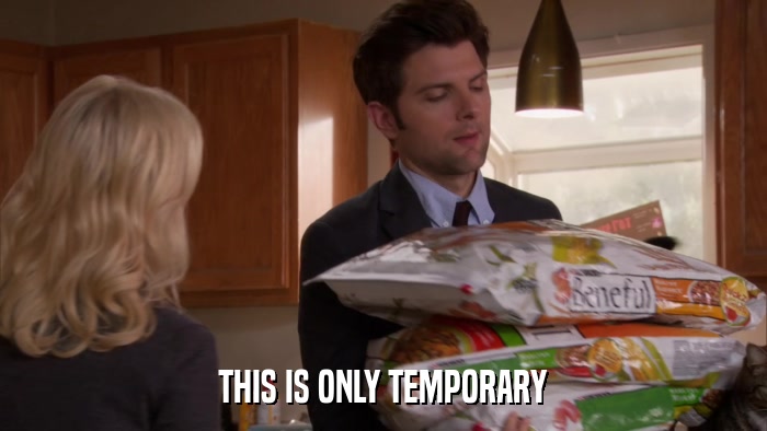 THIS IS ONLY TEMPORARY  