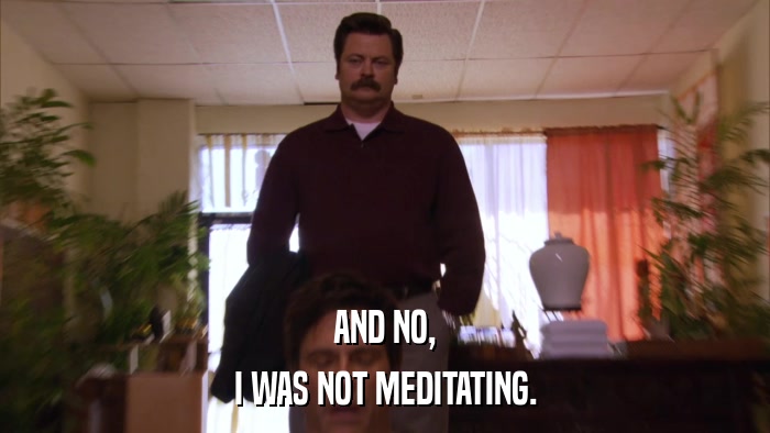 AND NO, I WAS NOT MEDITATING. 