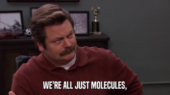 WE'RE ALL JUST MOLECULES,  