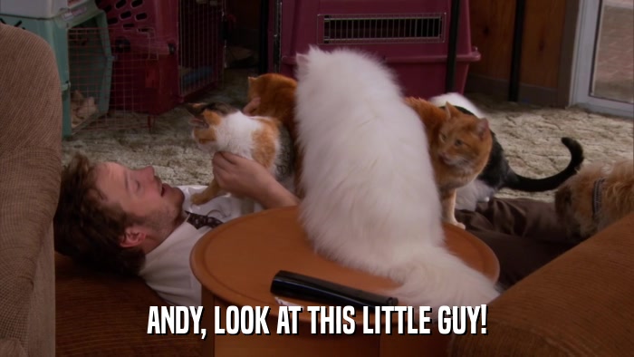ANDY, LOOK AT THIS LITTLE GUY!  