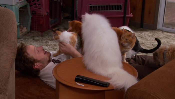 ANDY, LOOK AT THIS LITTLE GUY!  