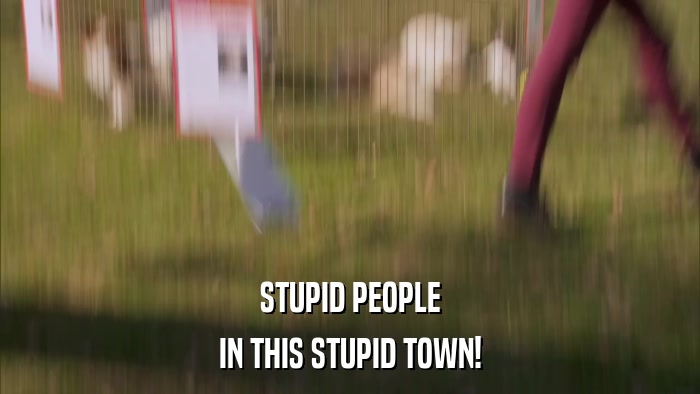 STUPID PEOPLE IN THIS STUPID TOWN! 