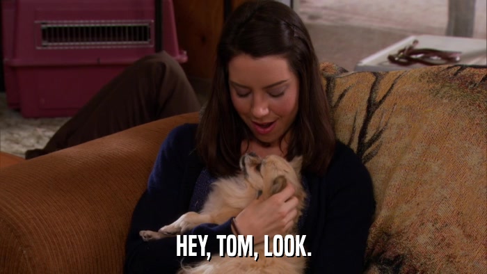HEY, TOM, LOOK.  