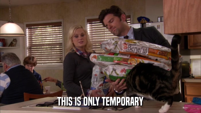 THIS IS ONLY TEMPORARY  