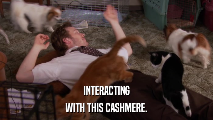 INTERACTING WITH THIS CASHMERE. 