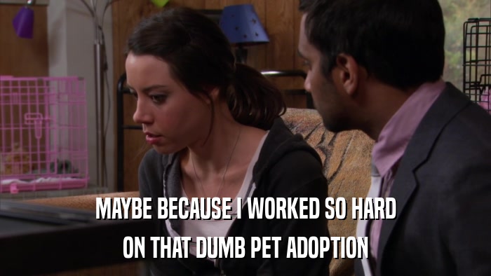 MAYBE BECAUSE I WORKED SO HARD ON THAT DUMB PET ADOPTION 