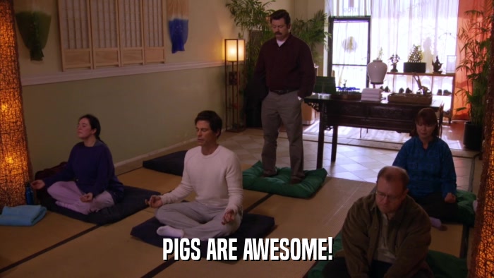 PIGS ARE AWESOME!  