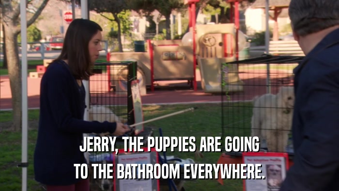 JERRY, THE PUPPIES ARE GOING TO THE BATHROOM EVERYWHERE. 