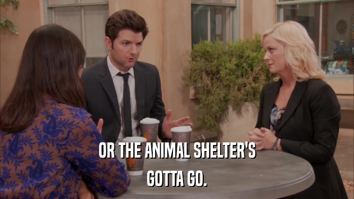 OR THE ANIMAL SHELTER'S GOTTA GO. 