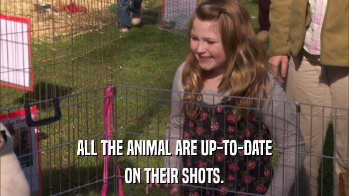 ALL THE ANIMAL ARE UP-TO-DATE ON THEIR SHOTS. 