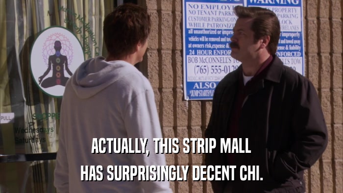 ACTUALLY, THIS STRIP MALL HAS SURPRISINGLY DECENT CHI. 