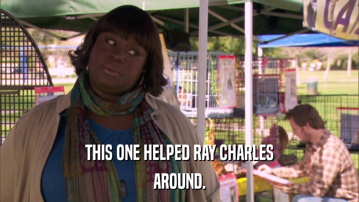 THIS ONE HELPED RAY CHARLES AROUND. 