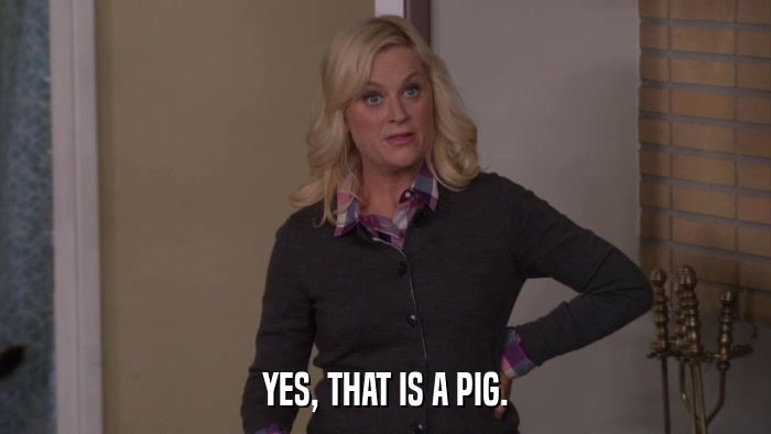 YES, THAT IS A PIG.  