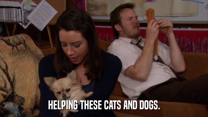 HELPING THESE CATS AND DOGS.  