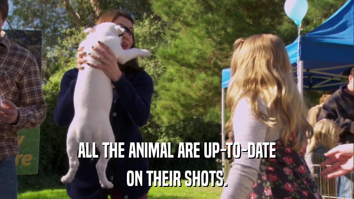 ALL THE ANIMAL ARE UP-TO-DATE ON THEIR SHOTS. 