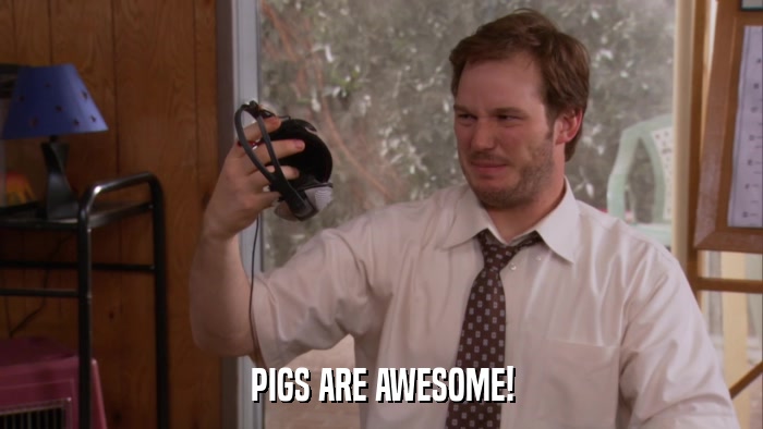 PIGS ARE AWESOME!  