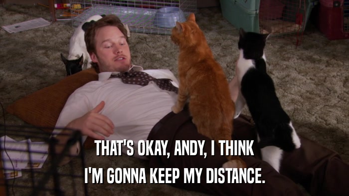 THAT'S OKAY, ANDY, I THINK I'M GONNA KEEP MY DISTANCE. 