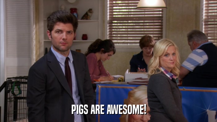 PIGS ARE AWESOME!  