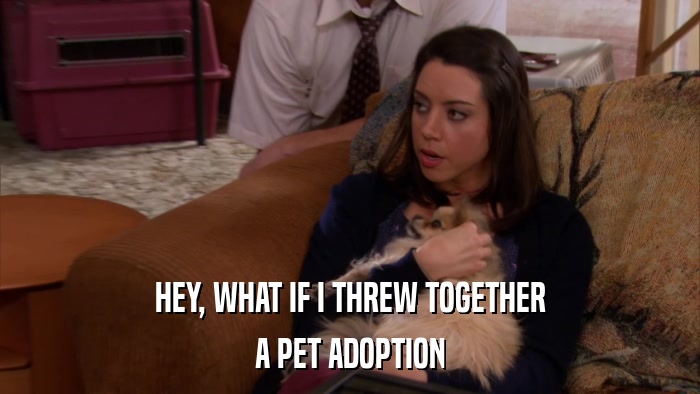 HEY, WHAT IF I THREW TOGETHER A PET ADOPTION 