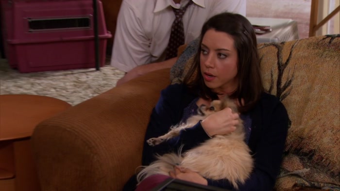 HEY, WHAT IF I THREW TOGETHER A PET ADOPTION 