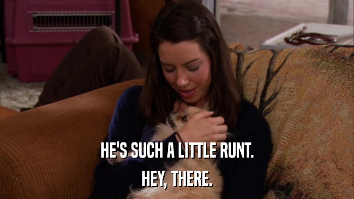 HE'S SUCH A LITTLE RUNT. HEY, THERE. 