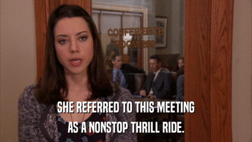 SHE REFERRED TO THIS MEETING AS A NONSTOP THRILL RIDE. 