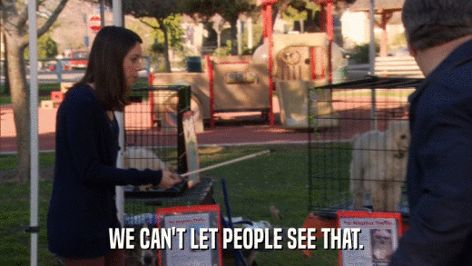 WE CAN'T LET PEOPLE SEE THAT.  