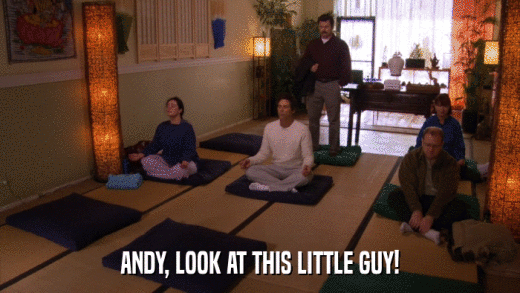ANDY, LOOK AT THIS LITTLE GUY!  