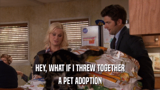 HEY, WHAT IF I THREW TOGETHER A PET ADOPTION 