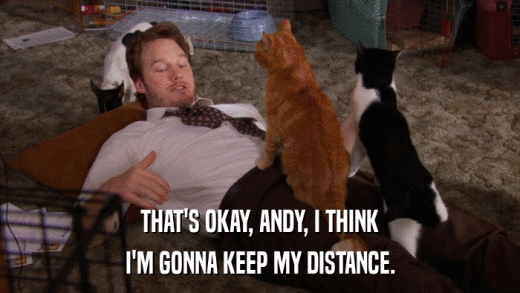 THAT'S OKAY, ANDY, I THINK I'M GONNA KEEP MY DISTANCE. 