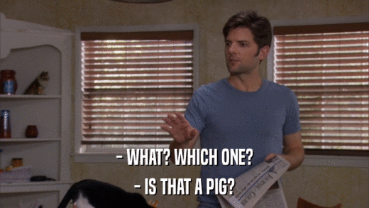 - WHAT? WHICH ONE? - IS THAT A PIG? 
