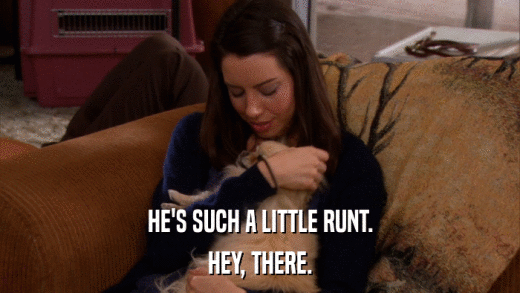 HE'S SUCH A LITTLE RUNT. HEY, THERE. 