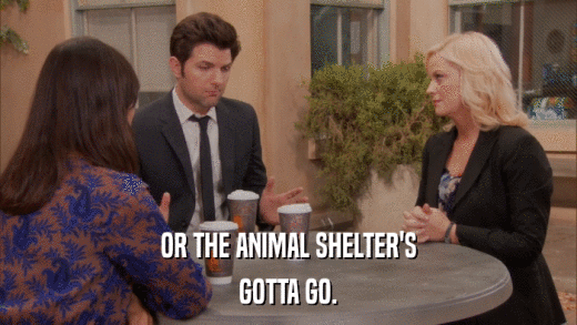OR THE ANIMAL SHELTER'S GOTTA GO. 