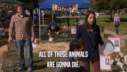 ALL OF THESE ANIMALS ARE GONNA DIE. 