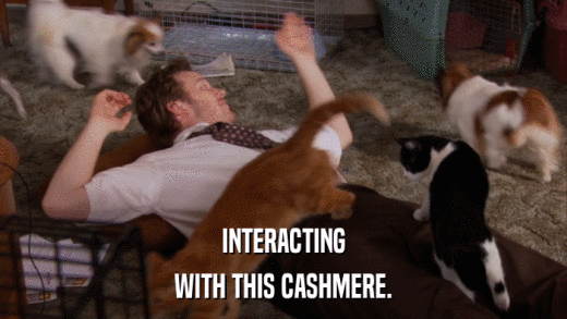 INTERACTING WITH THIS CASHMERE. 
