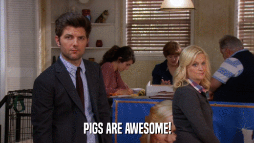 PIGS ARE AWESOME!  