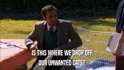 IS THIS WHERE WE DROP OFF OUR UNWANTED CATS? 