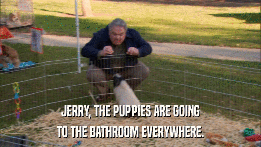 JERRY, THE PUPPIES ARE GOING TO THE BATHROOM EVERYWHERE. 