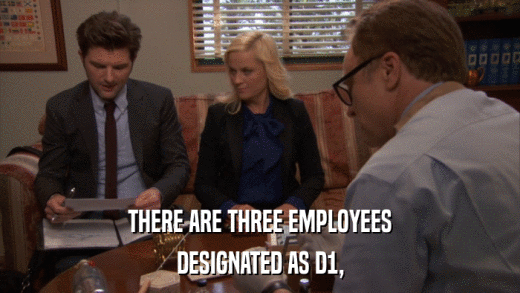 THERE ARE THREE EMPLOYEES DESIGNATED AS D1, 