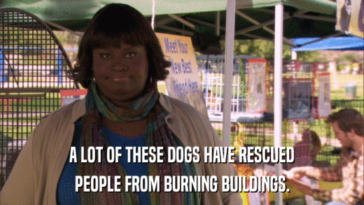 A LOT OF THESE DOGS HAVE RESCUED PEOPLE FROM BURNING BUILDINGS. 