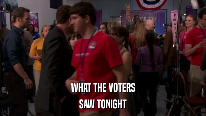 WHAT THE VOTERS SAW TONIGHT 