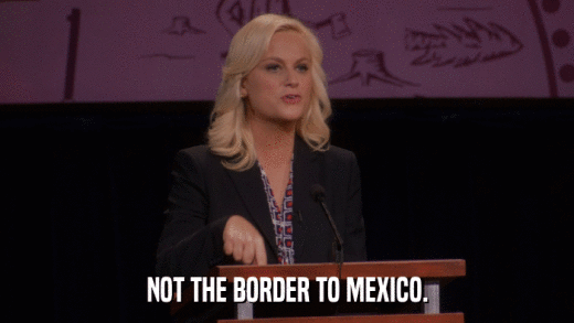 NOT THE BORDER TO MEXICO.  