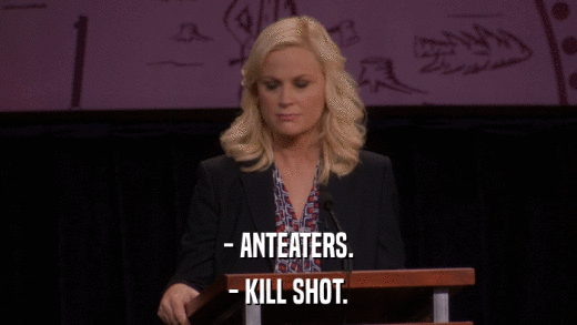 - ANTEATERS. - KILL SHOT. 
