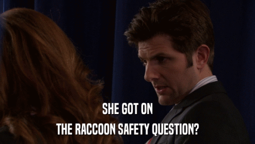 SHE GOT ON THE RACCOON SAFETY QUESTION? 