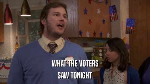 WHAT THE VOTERS SAW TONIGHT 
