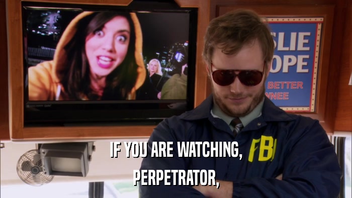 IF YOU ARE WATCHING, PERPETRATOR, 